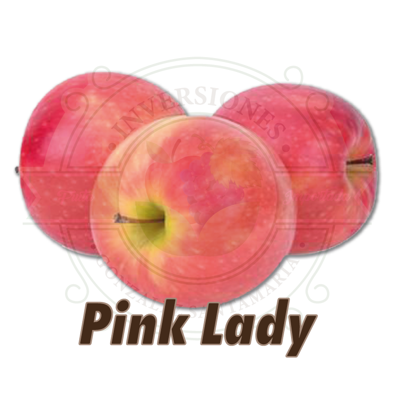 Manzana-PinkLady